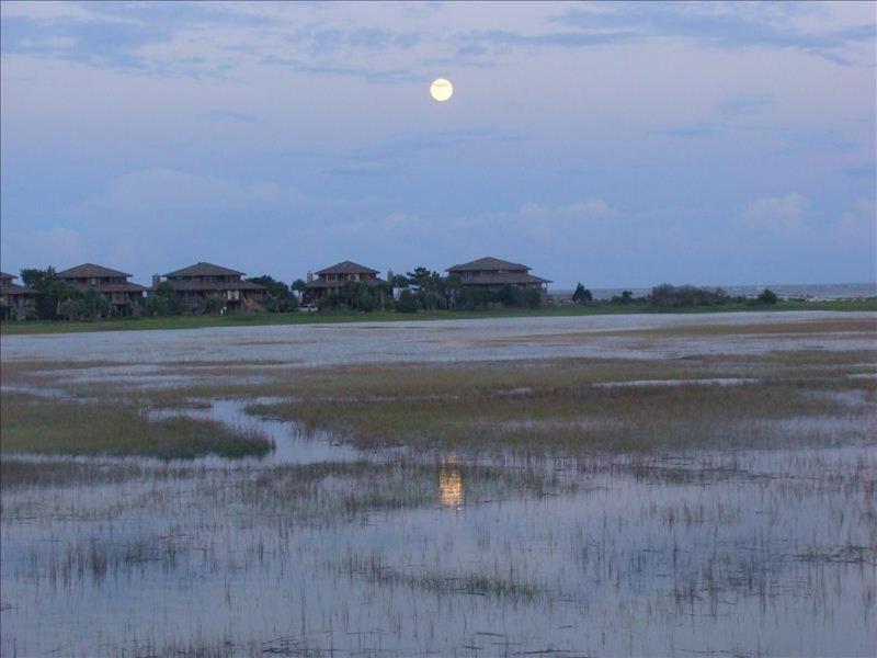 Harbor Island Four-Bedroom House With Great View! Pool Across The Street! Hunting Island Pass! מראה חיצוני תמונה